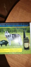 Buzzer-Bark Shock-Vibration Dog-Training-Collar Electric Remote-Control Rechargeable