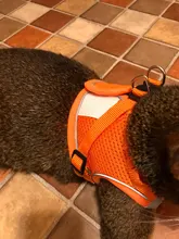 Arnés para gato de malla de nailon, chaleco reflectante para perro, conjunto de arnés y correa para Chihuahua, Pug, correa de plomo pequeña y mediana para caminar