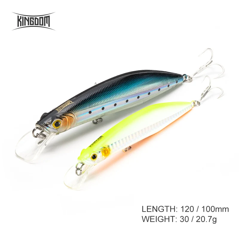 

Kingdom Floating Minnow Wobbler Decoy 100mm 20.7g/120mm 30g Fishing Lure Artificial Hard Bait Fishing Tackle Jerkbait Model 5501