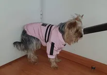 French Bulldog Small Dogs Pugs Winter For Chihuahua Outfit Pink Warm Clothing Roupa Pet-38s2