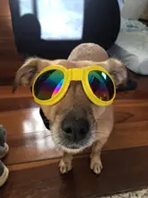 Gafas de sol plegables para mascotas, lentes de protección UV para perros, medianos y grandes, impermeables, 5 colores