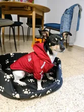 Jacket Clothing Puppy-Coat Dog-Face Dogs Reflective Waterproof Winter Apparel Small Medium