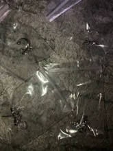 Pendientes elegantes con Clip de mariposa y cristal para mujer, sin Piercing, cartílago falso, bonitos llamativos, coreanos, regalos, 2020