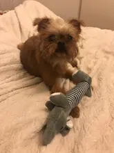 Plush-Toys Pet-Products Sound Dolls Duck Squeak Chew Fleece Funny Elephant Durability