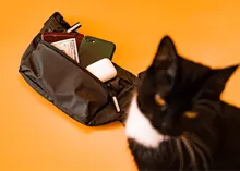 Riñonera impermeable para hombre, bolso cruzado deportivo para exteriores, informal, de viaje, riñonera trasera