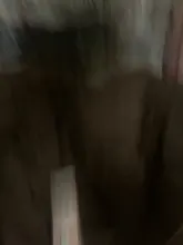 Maquinilla de afeitar de seguridad para mujer, eliminación de vello de cejas, cortador de pelo Facial, Mini afeitadora de maquillaje, 1 Uds.