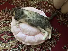 Litter-Mat Blanket Pet-Bed Calming Pink Small Cat Cushion Dogs Dog-Poodle Plush for Manta