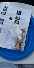 Cat Toilet Litter-Trainer Toilet-Seat-Lighting Catsceaningtrainingtoilet-Supplies 