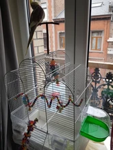 Toys Birdcage-Accessories Bird-Stand Wooden Parrots Perches-Supplies Swing Bar Pet-Bracket