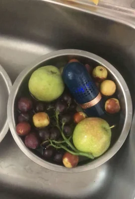Attachment image review on Food Purifier