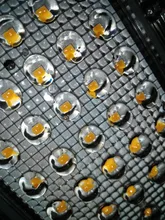 Landscape Lighting Street-Lamp Ip65 Waterproof 240V 220V LED 230V AC