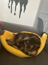 House-Mat Banana-Shape Puppy-Cushion-Basket Kennel Dog-Cat-Supplies Durable Doggy Warm