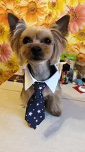 Pajarita a rayas para perro y gato, Collar ajustable para mascotas, corbata blanca para perro, y boda para fiesta, 2020