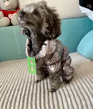 Jacket Clothing Puppy Small Dogs Waterproof Winter Overalls Pet-Coat Dog-Jumpsuit Fleece