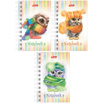 

Notebook hatber "owls" A7 40L