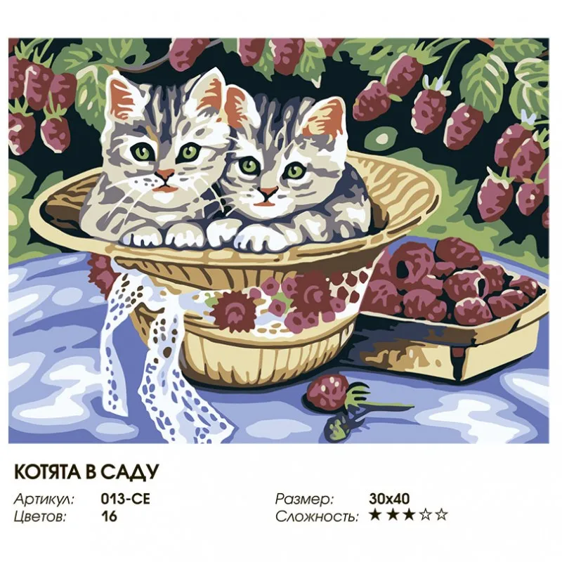 013-ce_twice-800x800