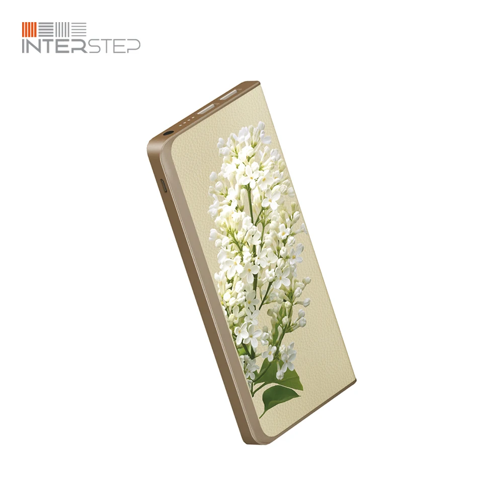 Внешний аккумулятор INTERSTEP PB6000 6000 мАч 2USB для смартфонов ультратонкий | Мобильные