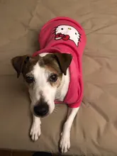 Clothing for Dogs Winter Warm Clothes Dog Hoodies Outfit Jacket Clothing for Dogs Chihuahua