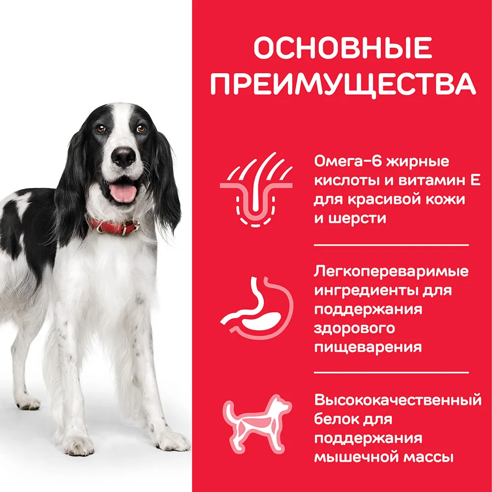 Hill's Science Plan Advanced Fitness сухой корм для собак мелких и средних пород с тунцом и рисом 3 кг