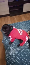 Costume Puppy-Outfit Dogs French Bulldog Chihuahua Pug-Pets Small Medium for Pet-Jumpsuit