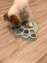 Disc-Board Dog-Toy Puzzle Food-Bowl Slow Pet-Training Funny Eat Leaking Biting