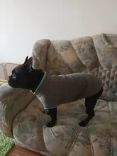 Coat-Jackets Fleece Vest Pug-Costumes Dogs French-Bulldog Chihuahua Winter Small Medium