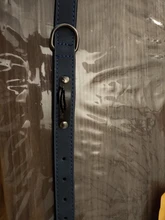 Collar Pet-Products Puppy Engraved French Bulldog Small Dogs Custom Personalized Pug