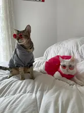 Dog-Dress Dogs-Skirt Princess Dog Summer Dot for York