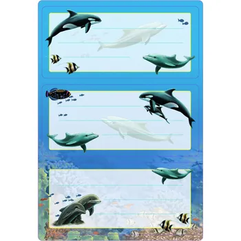 

Stickers for notebooks dolphins