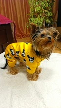 Ropa de Perro de algodón francés mascota Bulldog mono caliente Ropa de mascotas para pequeños perros mediano traje de invierno traje de Perro Ropa de Perro