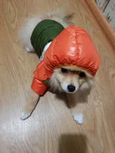 Outfit Jacket Hoodie Dog Warm Waterproof Winter Coat Splice Pet-Puppy 6-Colours 8-Sizes