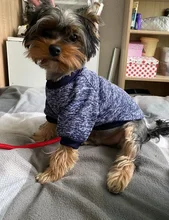 Clothing Sweater Pet-Outfit Small Dogs Classic Soft Winter For Dog Chihuahua Ropa Perro