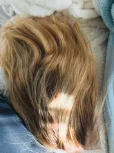 Pelucas de cabello humano con encaje Frontal para mujer, 1B/27 Bob corto, 180%, brasileño, 13x4, ombré, Bob, Remy, 4x4, cierre de encaje