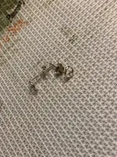 CANNER delicado 925 pendientes tipo botón de plata fina para las mujeres pequeño redondo círculo pendientes 2019 señora chica coreana pendientes regalos H40