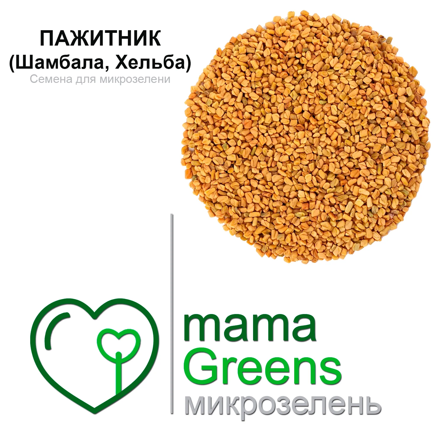 Fenugreek (Helba) 25 Gr เมล็ดสำหรับ Microgreens,Microgreens Fenugreek ...