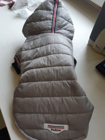 DogMEGA Dog Snowsuit for Small Dog | Waterproof Dog Snowsuit photo review