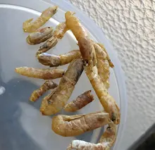 Food-Feed-Sticks Shrimp Aquarium Turtle Dried Fish Reptile Fish-Food YEE Mealworm Tortoise