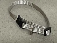 Collar clásico de nailon para perros y gatos, Correa y arnés con hebilla de presión rápida