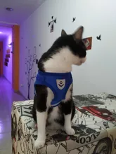 Arnés y correa reflectantes para gato, ropa transpirable a prueba de Escape para mascotas, chaleco ajustable de fácil Control