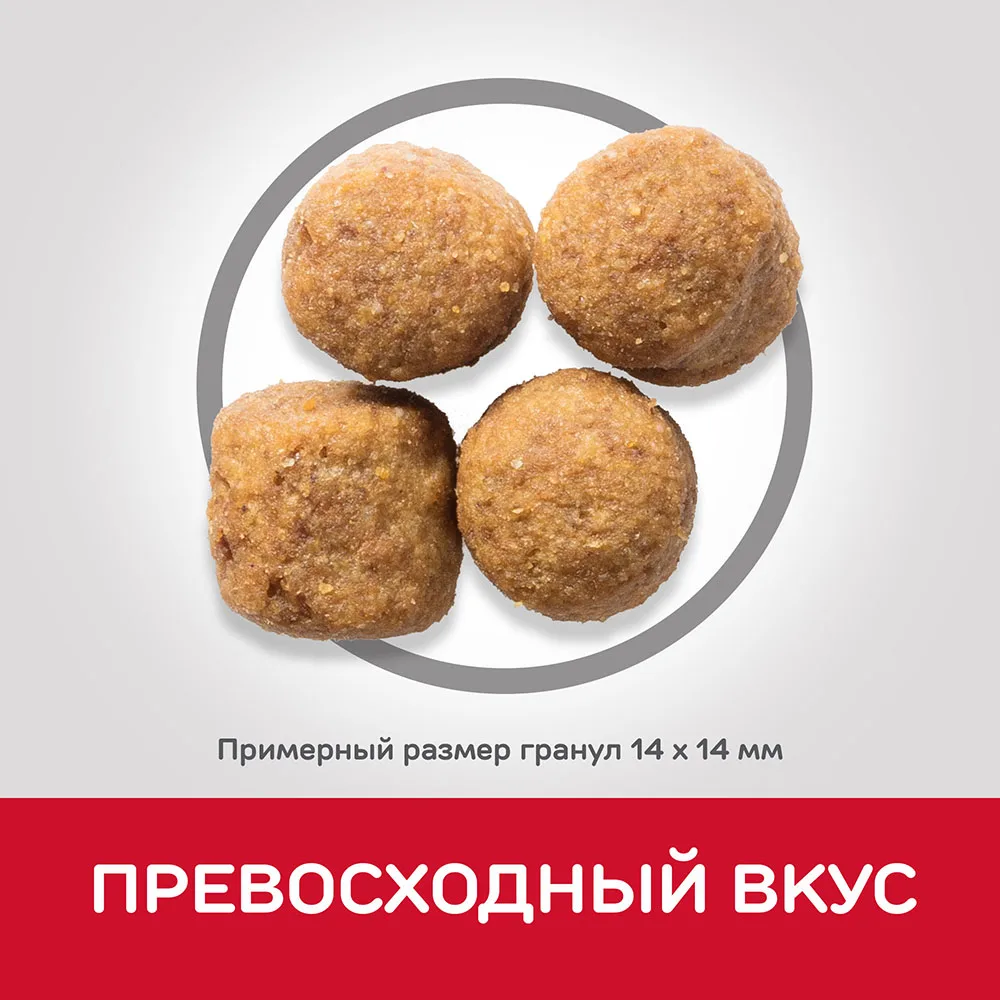 Hill's Science Plan Advanced Fitness сухой корм для собак крупных пород с курицей 12 кг