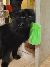 Hair-Removal-Brush-Comb Grooming-Tool Cat-Massage-Device Cats-Hair Self-Groomer Catnip
