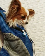 Al aire libre viajes de mascotas de doble bolsa de hombro portátil de viaje mochila al aire libre bolsa de transporte perro mascota frente perro bolsa de malla de mochila de la cabeza