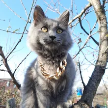 Necklace Pet-Accessories Photos-Props Cat-Chain Kitten Show-Off-Collar Gold Puppy Dogs