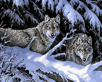 

Painting by Numbers Premium: Wolves in the winter forest