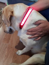 Collar LED de nailon para mascotas, fluorescente y luminoso, suministros para mascotas, correa de seguridad nocturna intermitente de seguridad que brilla en la oscuridad