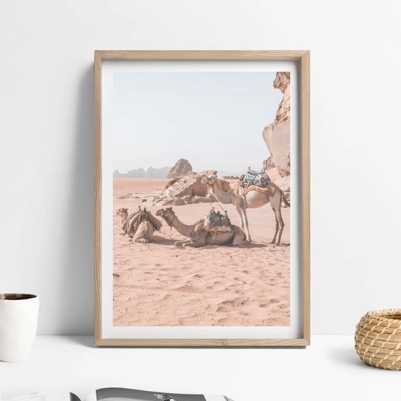 Desert Photography Canvas Print