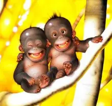 Tarjeta de Control de acceso de proximidad RFID, etiqueta rfid, 125Khz (llavero de cuero), 10 unids/lote, TK4100, venta al por mayor