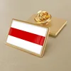 Coat of Arms of Belarus Historical Flag Brooch/Badges/Lapel Pins ► Photo 3/6