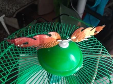 Sunglasses Wave Uv-400-Eyewear Rimless Narrow Fire-Flame Trending Fashion