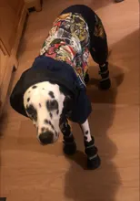 HOOPET Large Coat Down-Jacket Winter New Warm Autumn for Dogs Dog-Prints Overalls Leisure-Style